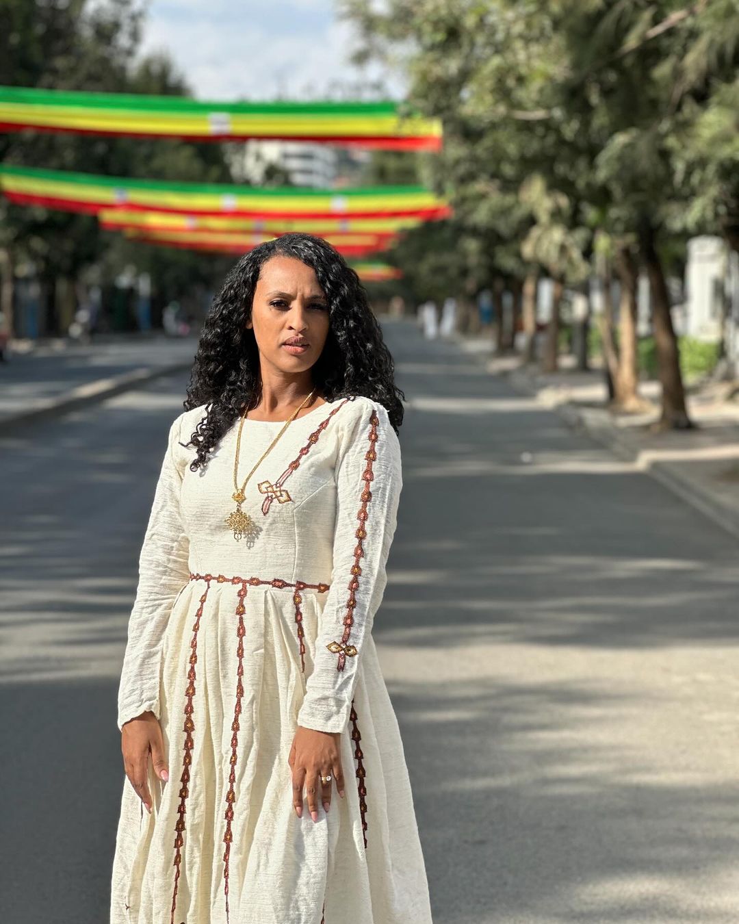 Brown Design Habesha Dress on Premium Fetil Fabric Simple Habesha Kemis